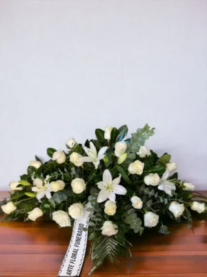 Centro Funerario Abrazo
